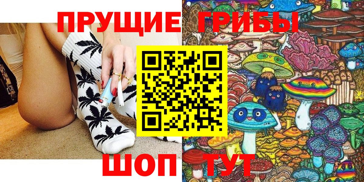 Псилоцибиновые грибы Psilocybine cubensis Норильск