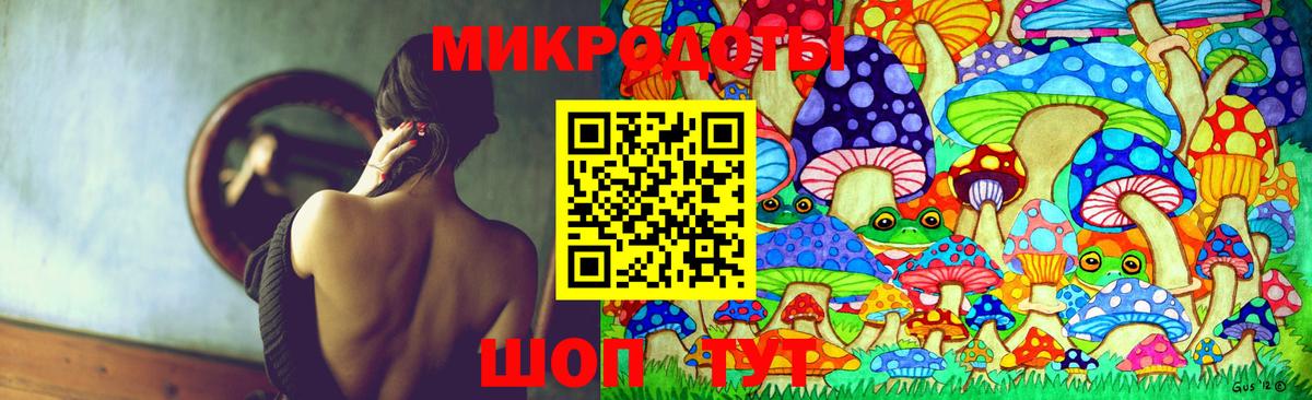 Норильск  Псилоцибиновые грибы прущие грибы  Вход с VPN 