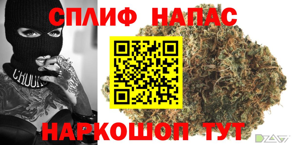 Бошки Шишки планчик Норильск